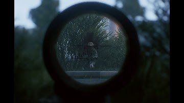 Active matter - Chasing gunshots