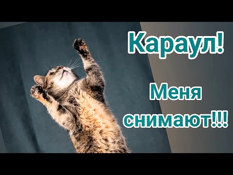 Караул! Меня снимают!!!