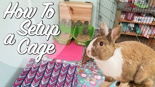 In this video, I show you how to set up your pet rabbit