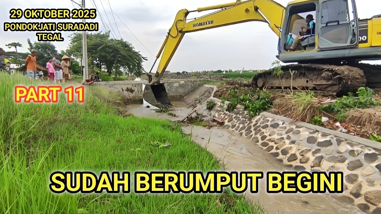 Sampai Berumput Begini Lumpur Yang Mau Dikeruk 