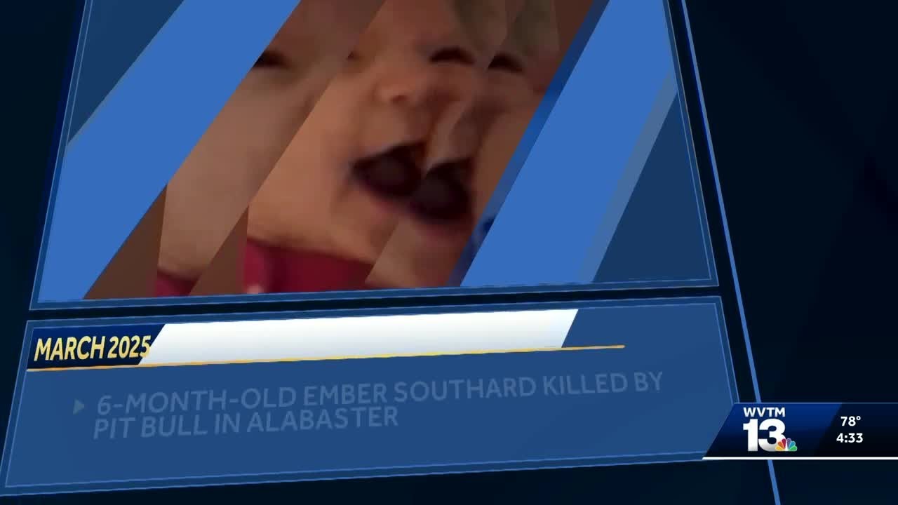 7-year-old killed in Alabama dog attack - YouTube