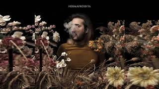 Francisca Y Los Exploradores - El Asesino