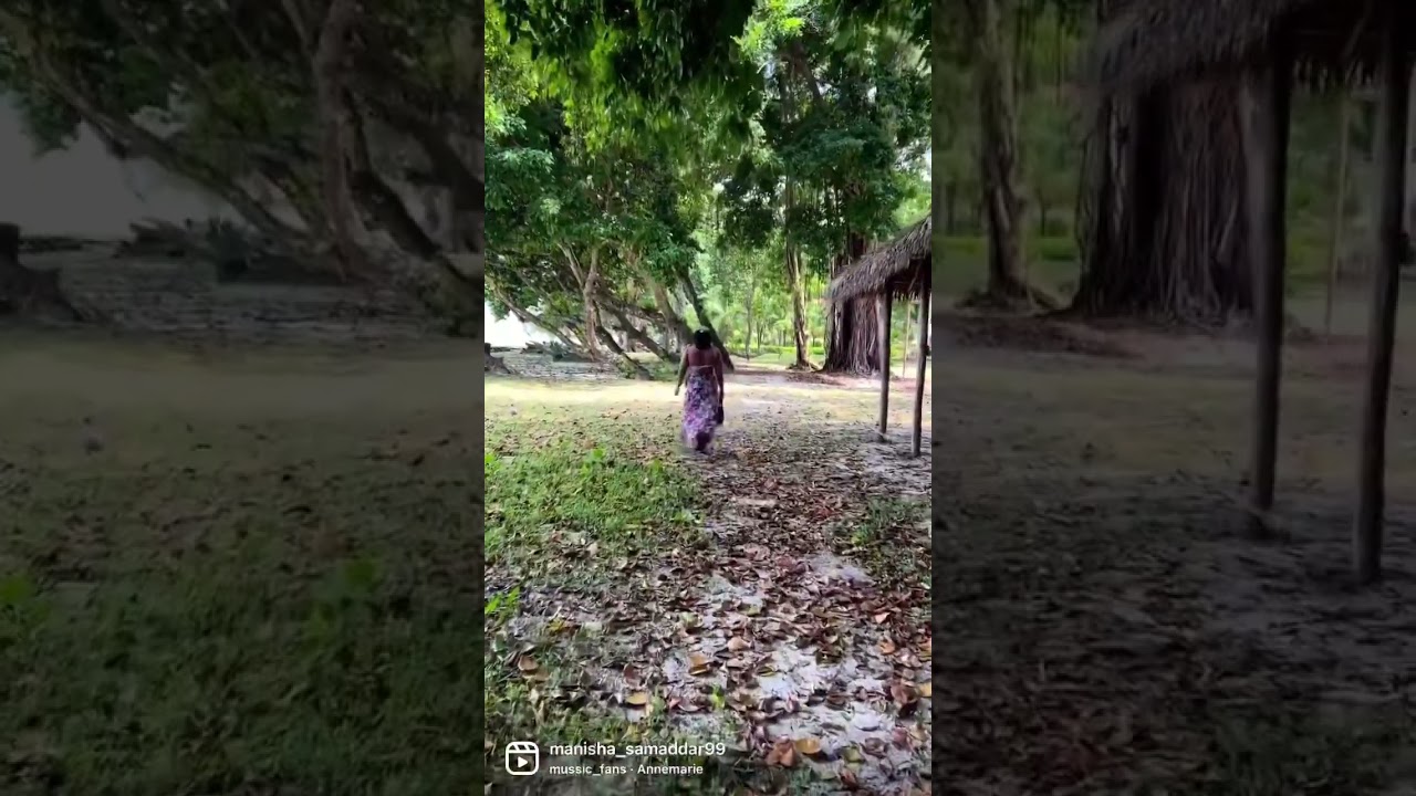 Dolphin resort Andaman and Nicobar island 