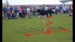 Display Team At Calderdale June