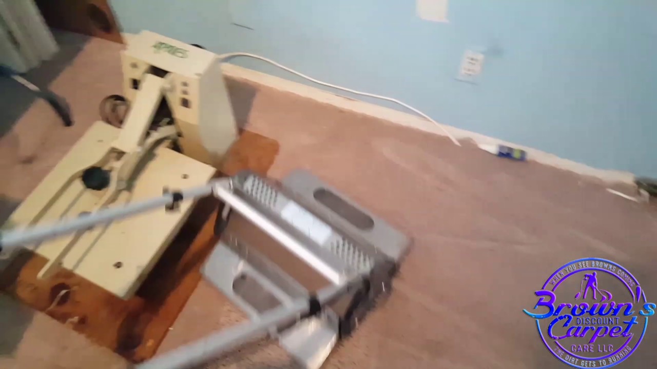 Extremely soiled Carpet fiber | Good Results| Pet urine removal