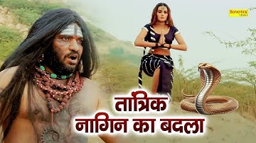 तांत्रिक और नागिन का बदला || Nagin Ka Badla || Kunal Singh Rajput, Raveena Bishnoi || Superhit Film