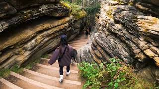 Jasper+Banff Road Trip with our Dog (Alberta/Drumheller/Calgary - Quick POV Travel Vlog)