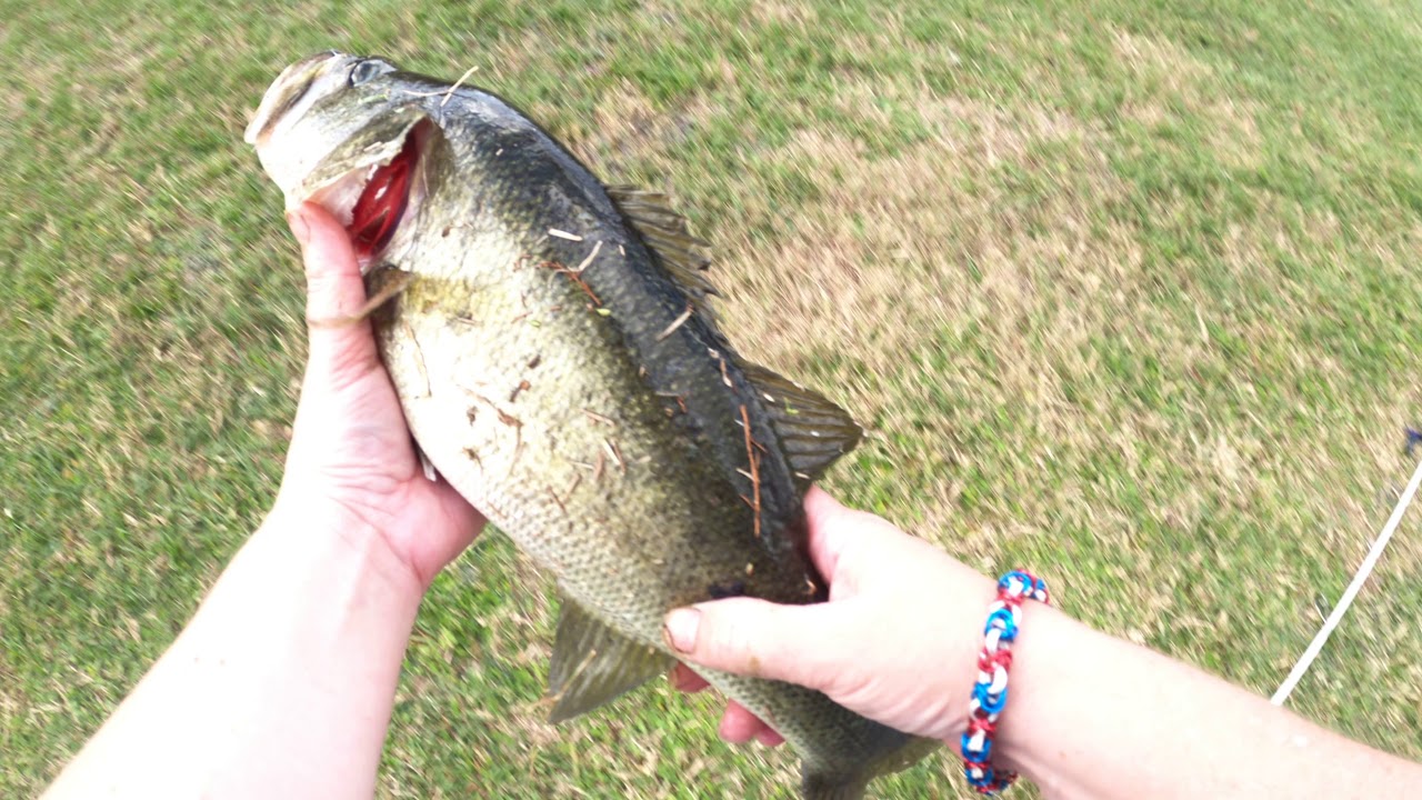 Bass Fishing Lakeland Florida YouTube