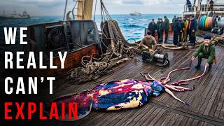 Nothing About Giant Squids Is Normal... Here’s Why