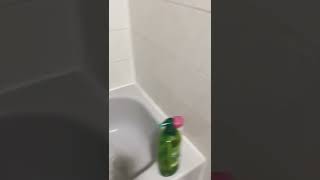 Shower Routine