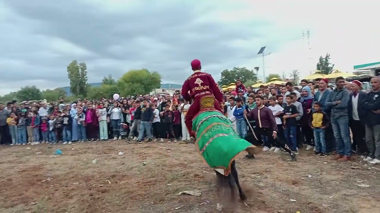 فرسان الشرشارة95062425