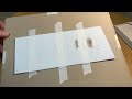 Beginning of video