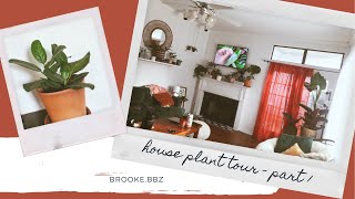 HOUSEPLANT TOUR | part 1 - living room tour (micans, monstera, ficus audrey + more) by bunch of brunners  62 views 3 years ago 3 minutes, 48 seconds