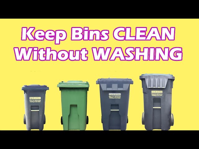 🗑️✨How to Clean Outdoor Garbage Cans and Keep Them Clean