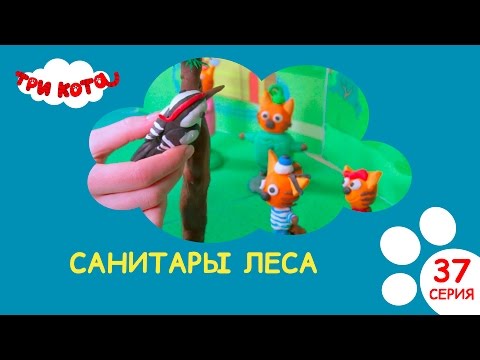 Три кота. Санитары леса | Выпуск №37