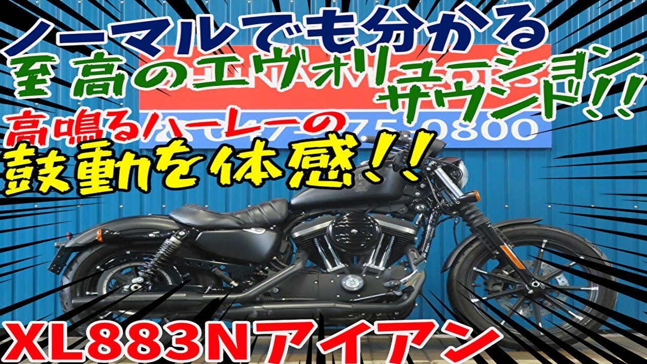 □シイナモータース市川店 絶版館□ハーレーダビットソン XL883N
