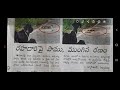 #shortsvideo # పాము ముంగిస ఫైట్