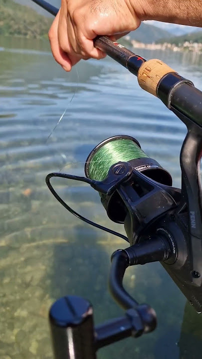 Deeper Quest Baitboat in Action. Safe 10% in Deepershop with Robin10 on Fishfinder😃. #deeper #quest
