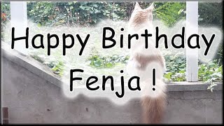 Happy Birthday Fenja! Alles Gute zum Geburtstag! screenshot 5