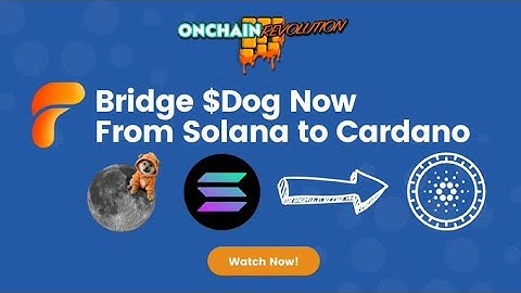 Bridge DOG from Bitcoin to Cardano | Full Step-by-Step Tutorial