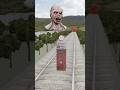 Train vs zombie BeamNG.Drive #beamng #beamngexperiments