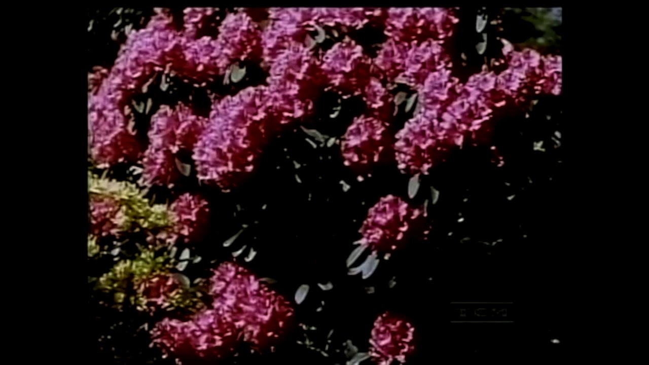 uphorium - i made this while i was sat in a laundrette