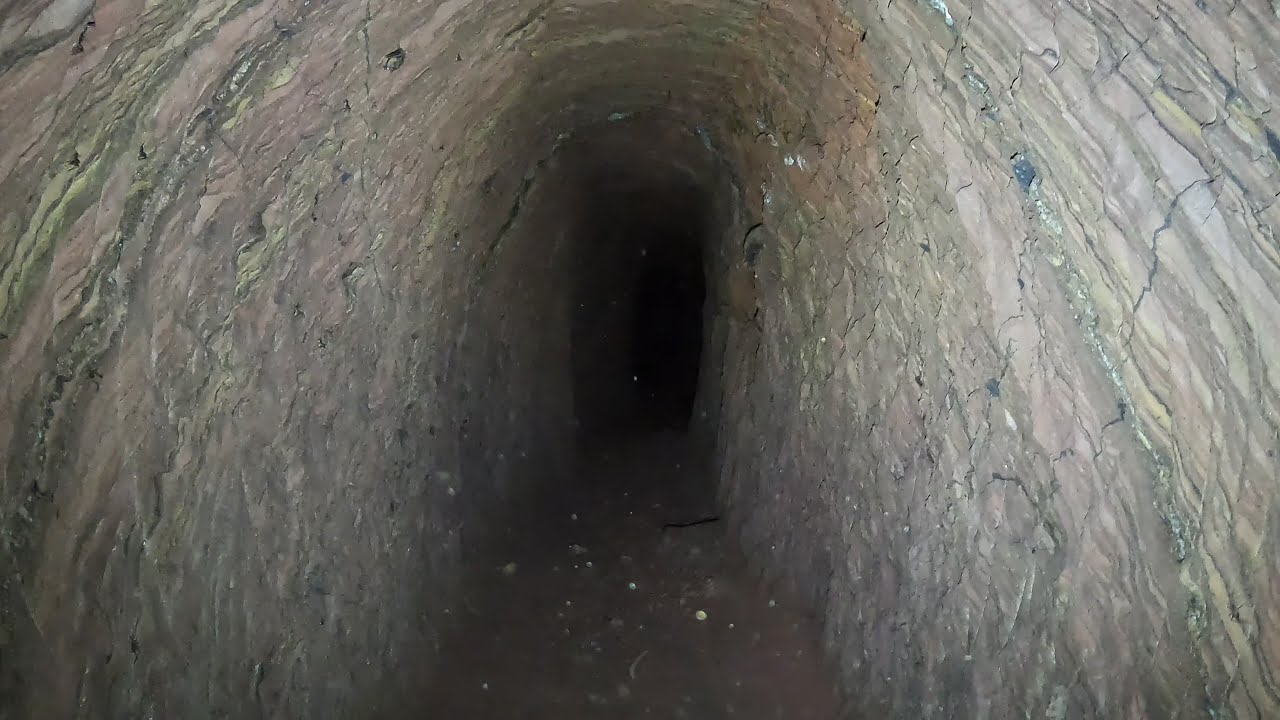 Opening up Old Gold Mines in the Forest..