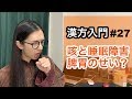 東洋医学の基礎！脾胃は中枢システムの理由！【漢方入門-27】