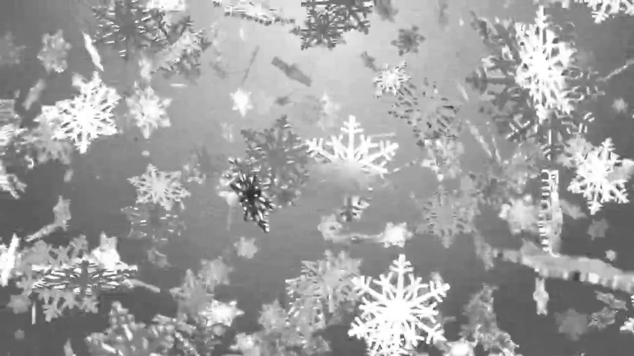 Falling White Snowflakes On Gray Background Video Clip, No Copyright | Various Background Clips