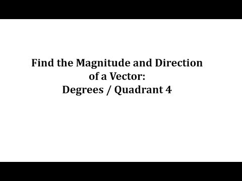 Find the Magnitude