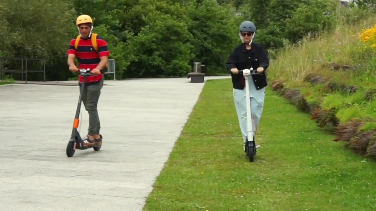 video Olsson Zebra