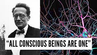 Erwin Schrödinger The Singular Mind All Conscious Beings Are One