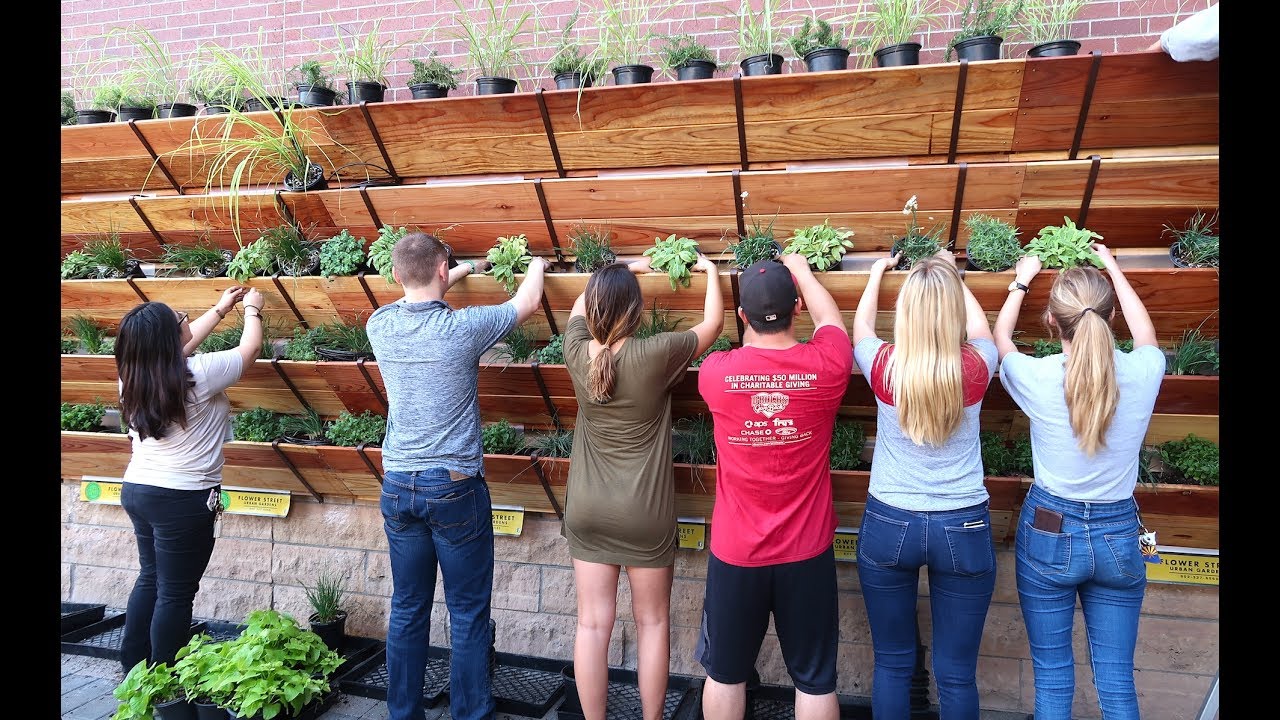 Growing 180 Sq Ft of Raised Bed Garden on a Wall or House 8 Foot Tall