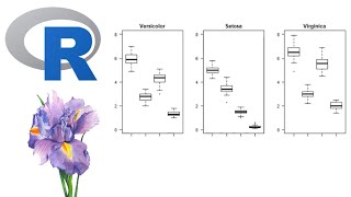 Applied Concept of Vector & Matrix in Combination Plot in Data Visualization
