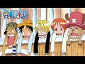 The Straw Hats Miss Vivi | One Piece