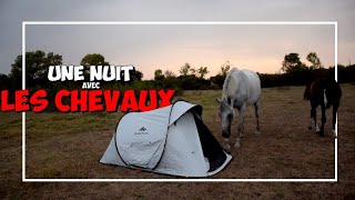 ► JE DORS AU PRÉ AVEC LES CHEVAUX 