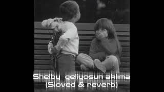 Shelby geliyosun aklıma ( sloved &. Reverb