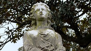 A midwinter visit to Elmwood Cemetery - my first roaming in a while. Walk with me as I talk