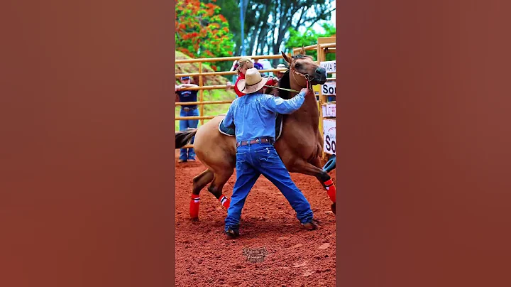 Natielly Malagutti Little Cowgirl #barrelracing