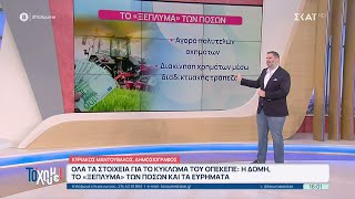 Όλα τα στοιχεία για το κύκλωμα του ΟΠΕΚΕΠΕ: Η δομή, το "ξέπλυμα" των ποσών και τα ευρήματα