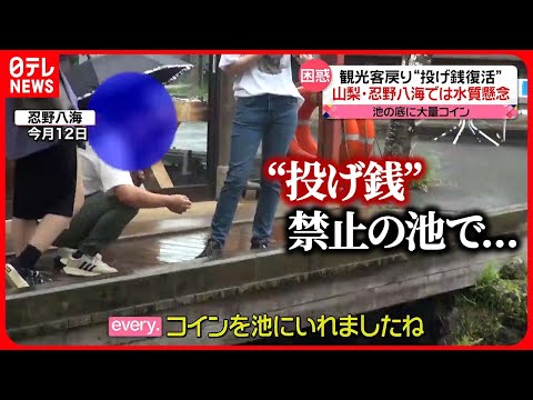 【困惑】観光客戻り"投げ銭"復活も…  忍野八海では水質懸念