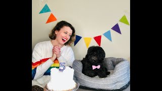 The Life & Times Of Nori The Dog A Bday Party