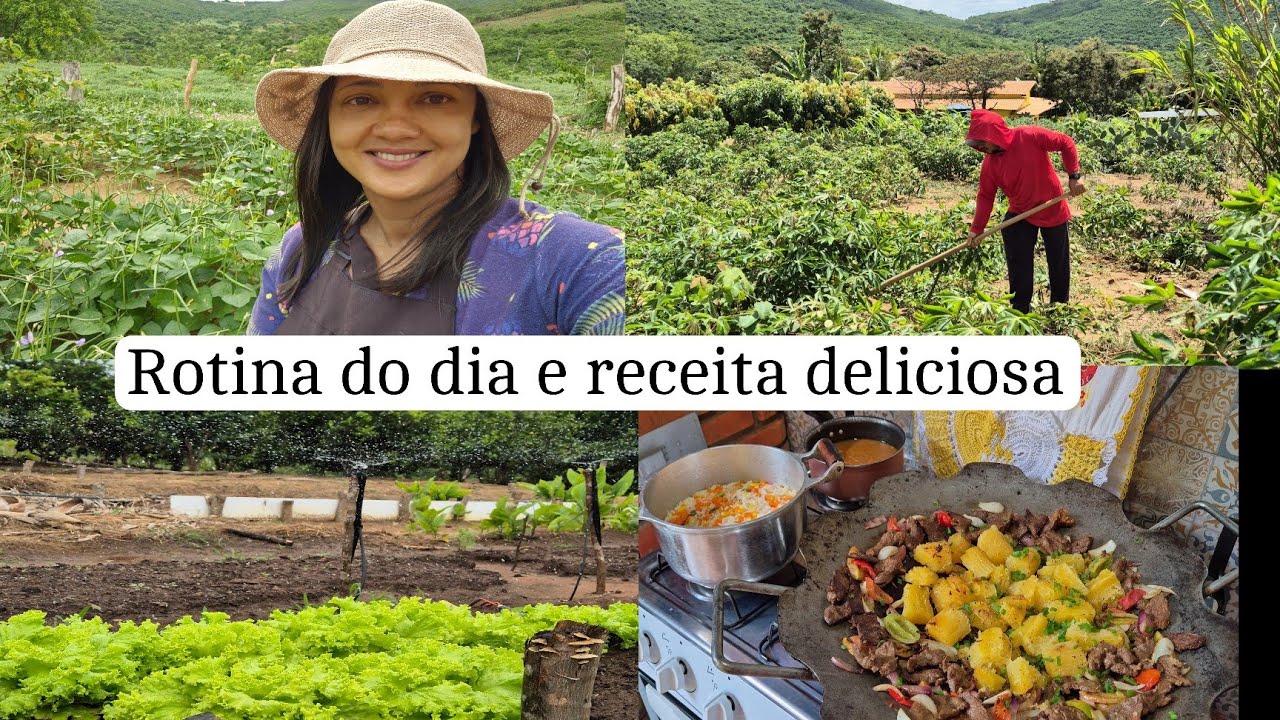 Nosso sítio está lindo💚 muitas farturas/ carne no disco com mandioca/ dia produtivo 