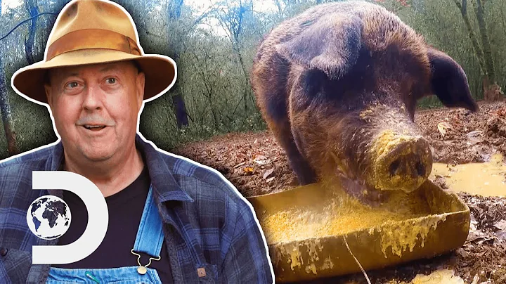 Mark & Digger Find A Creative Solution To Their Ma...