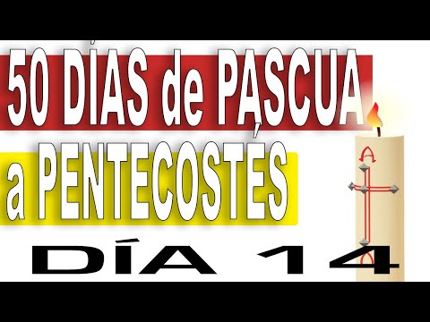 ✴️ Día 14 | 50 Días de CAMINO de PASCUA A PENTECOSTÉS 📌 JESÚS CAMINA SOBRE EL AGUA