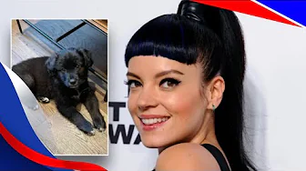 Lily Allen ridiculed for returning dog to animal shelter because 'she ate my passport' thumbnail