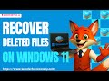 How to Recover Deleted Files on Windows 11? Efficient and Beginner-Friendly!