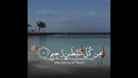 قرآن كريم بصوت الشيخ هزاع البلوشي ❤||حالات للواتس اب||Quran status||Kur'an-ı Kerim