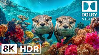Ethereal Deep Ocean Creatures in 8K HDR | Dolby Vision™