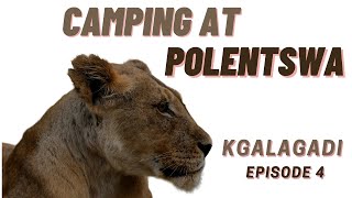Kgalagadi | Camping at Polentswa